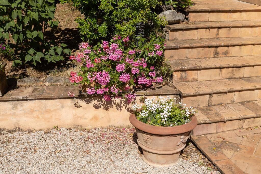 Apartment In Nature,10Min From City Perugia Exteriör bild